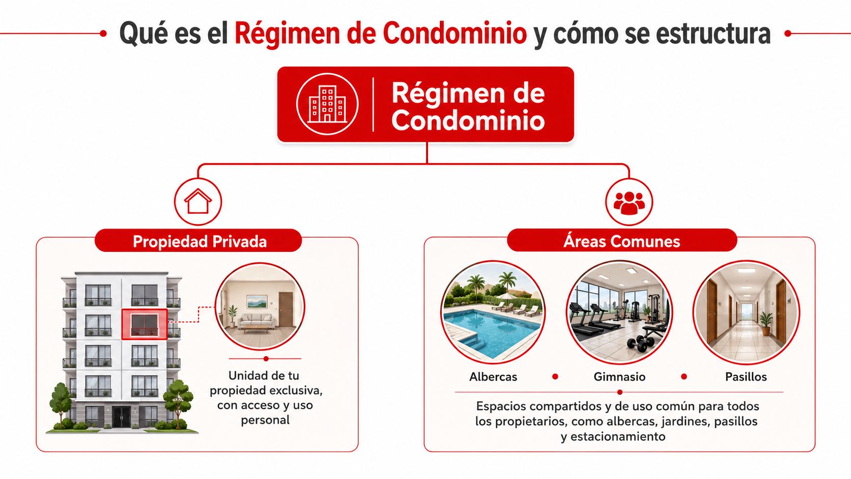 Infografía que explica el régimen de condominio detallando la diferencia entre propiedad privada y áreas comunes.