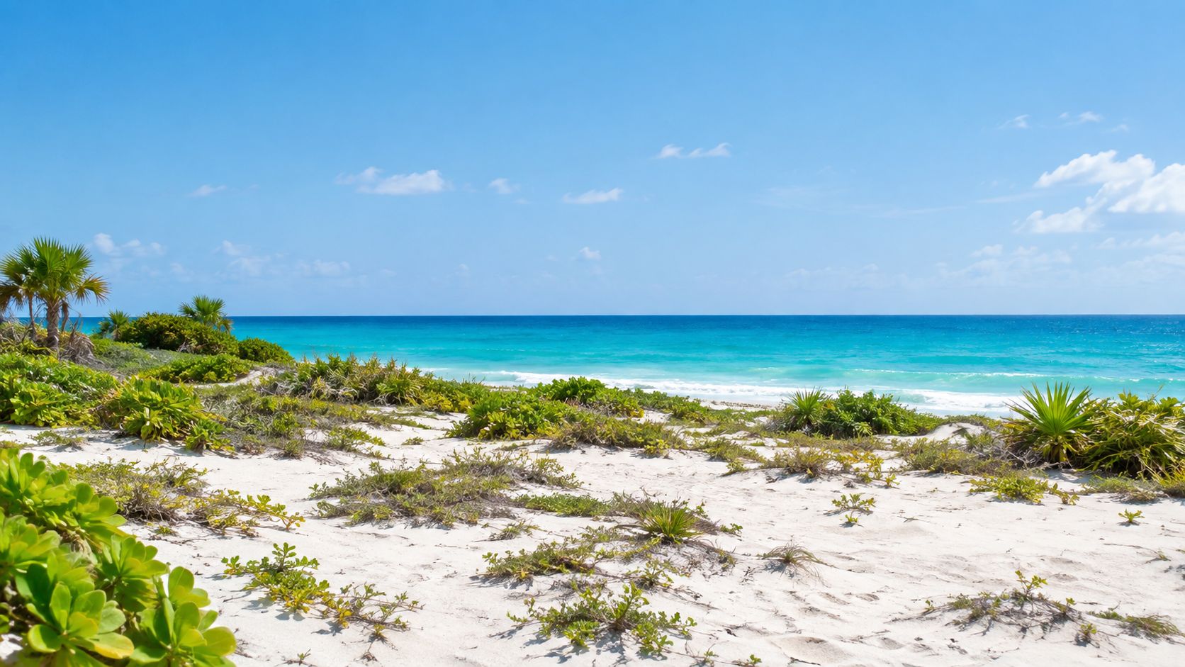 Hermosa playa virgen con arena blanca, vegetación tropical y un mar turquesa bajo un cielo despejado