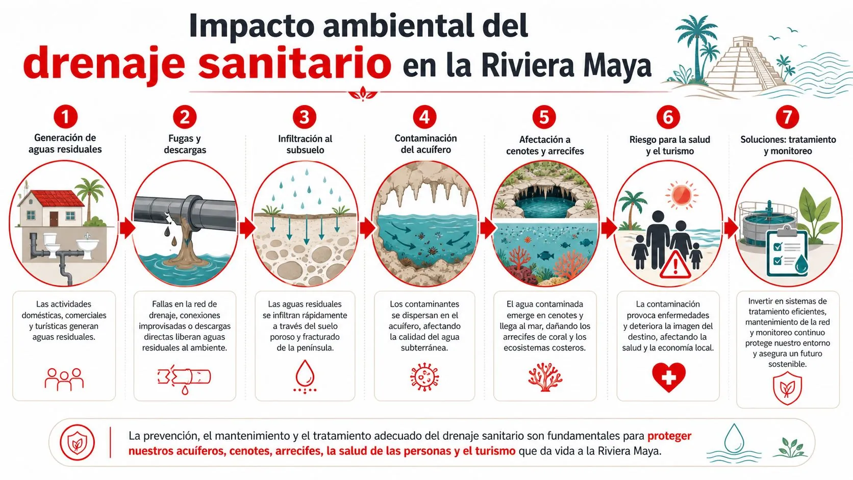 Infografía sobre el impacto ambiental del drenaje sanitario en la Riviera Maya y sus consecuencias ecológicas.